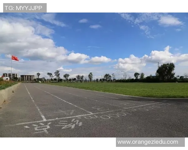 重庆排球队的崛起之路总决赛特别报道展现成长与奋斗的精彩篇章 重庆排球队的崛起之路总决赛特别报道展现成长与奋斗的精彩篇章