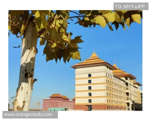 广州羽毛球队崛起之路:从默默无闻到世界杯舞台的辉煌历程 广州羽毛球队崛起之路:从默默无闻到世界杯舞台的辉煌历程