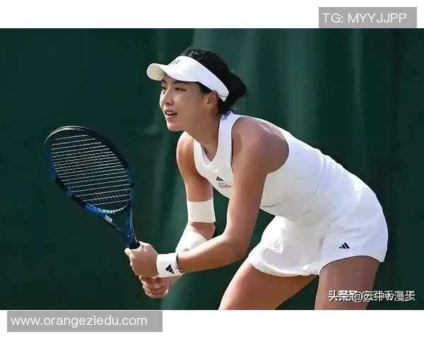 武汉网球队在网球力量排行榜中荣登第六名展现强劲实力与潜力