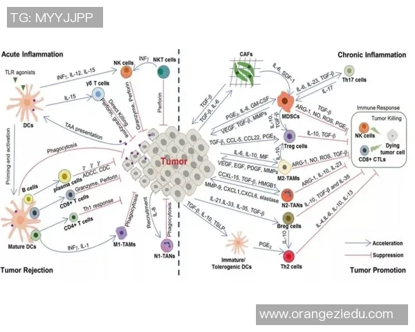 杭州网球队意识表现分析：数据揭示团队协作与个人能力的关系