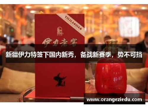 新疆伊力特签下国内新秀，备战新赛季，势不可挡