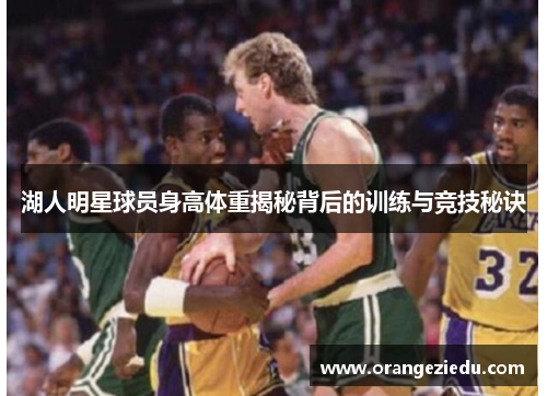 湖人明星球员身高体重揭秘背后的训练与竞技秘诀