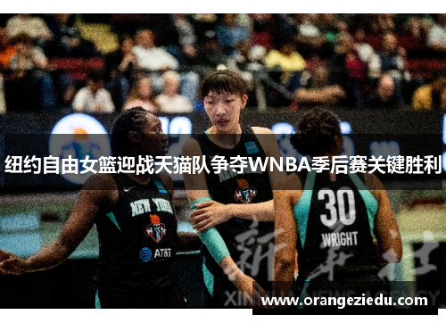 纽约自由女篮迎战天猫队争夺WNBA季后赛关键胜利