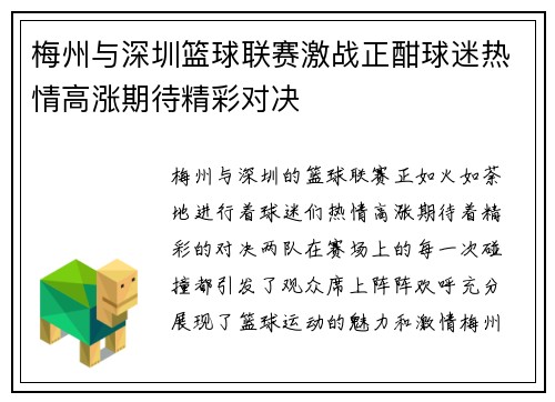 梅州与深圳篮球联赛激战正酣球迷热情高涨期待精彩对决